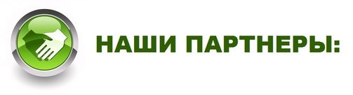 _____331068_orig